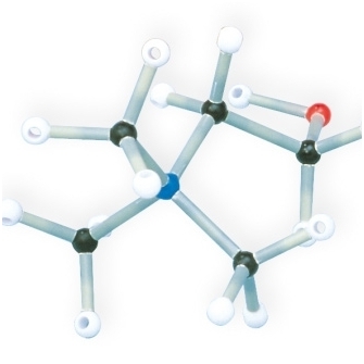 Biochemijos rinkinys 1