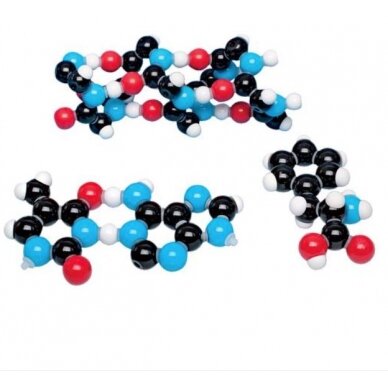 Biochemijos rinkinys 2