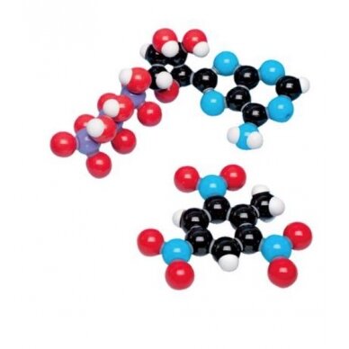 Biochemijos rinkinys 3